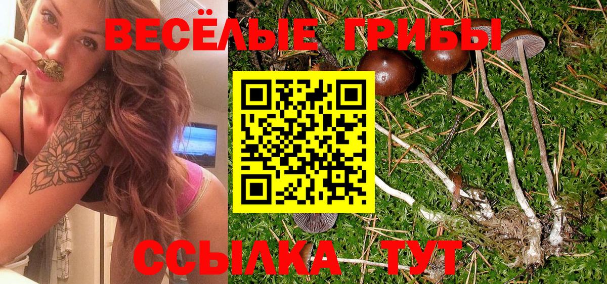 Галлюциногенные грибы мицелий  Галлюциногенные грибы Psilocybe  Вход с VPN  Александров 