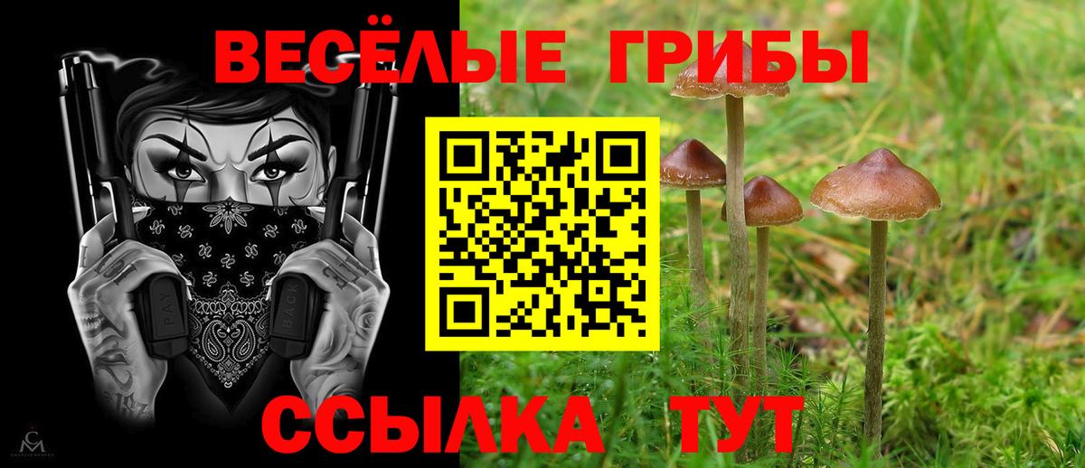 Псилоцибиновые грибы GOLDEN TEACHER Александров